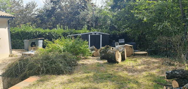 Suppression des systèmes racinaires trop proche de la maison